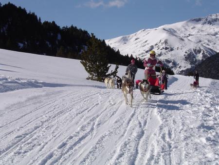 lES cHIENS (2006)