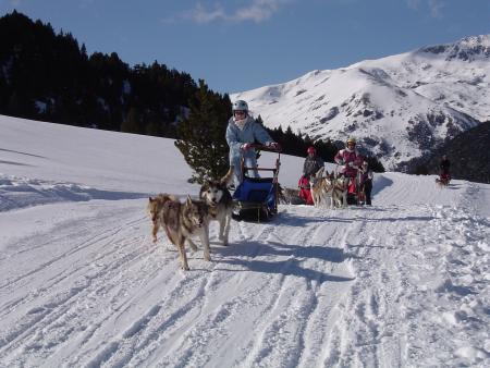 Les Chiens (2006)
