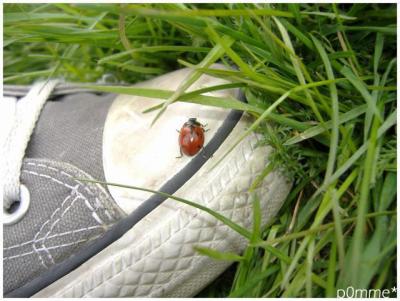 CoNveRsEs