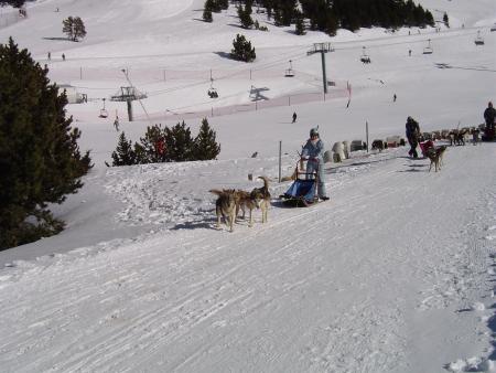 Les Chiens (2006)