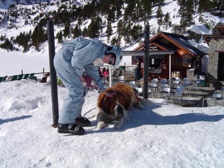lami de claire (2006)