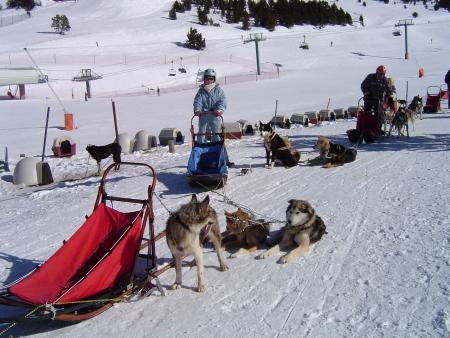 Les Chiens (2006)